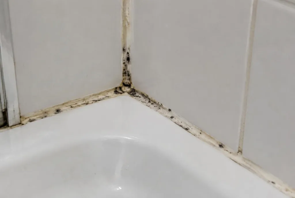 Kitbedrijf Ede – beschimmelde kitranden